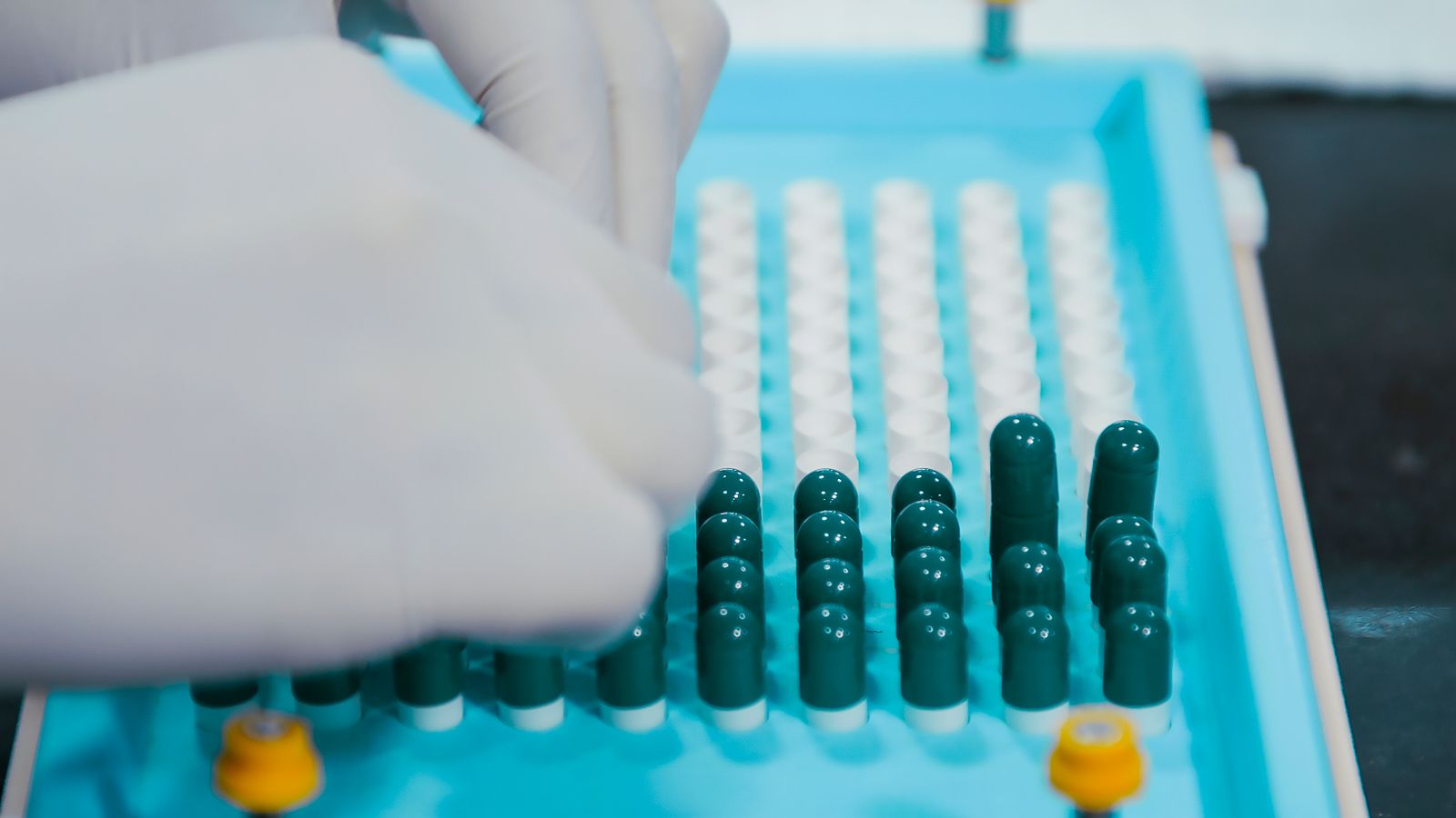 Gloved technician handling capsules in a quality control tray