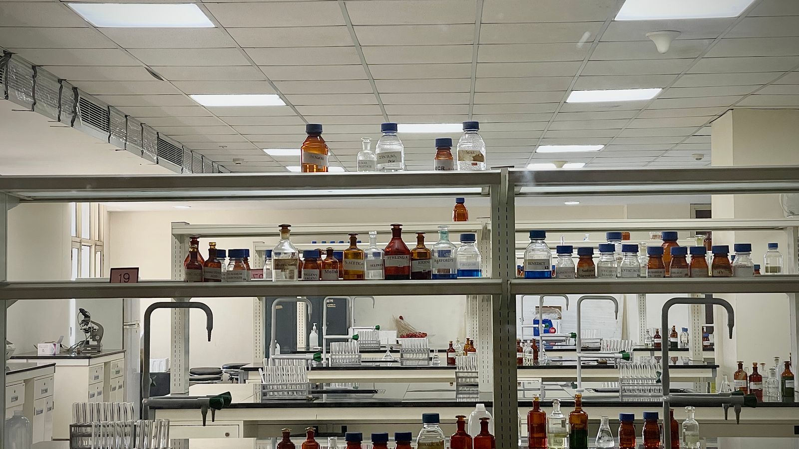 Research laboratory shelves with chemical bottles and glassware